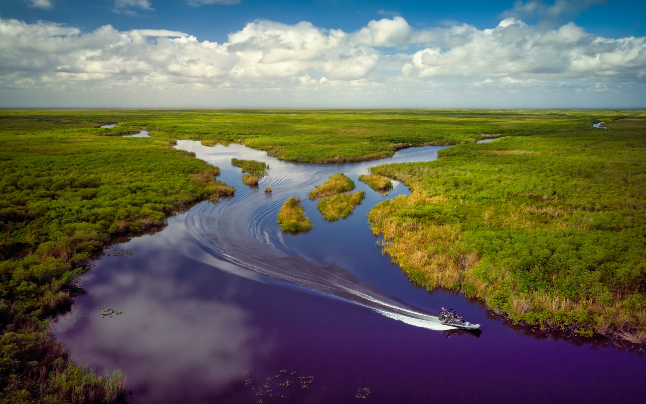 airboat tours