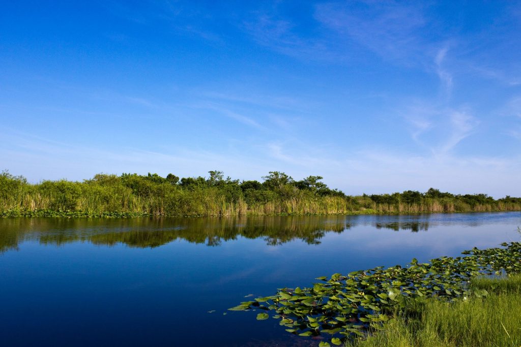 airboat tours 