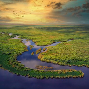 aerial of the everglades, airboat tour through the everglades