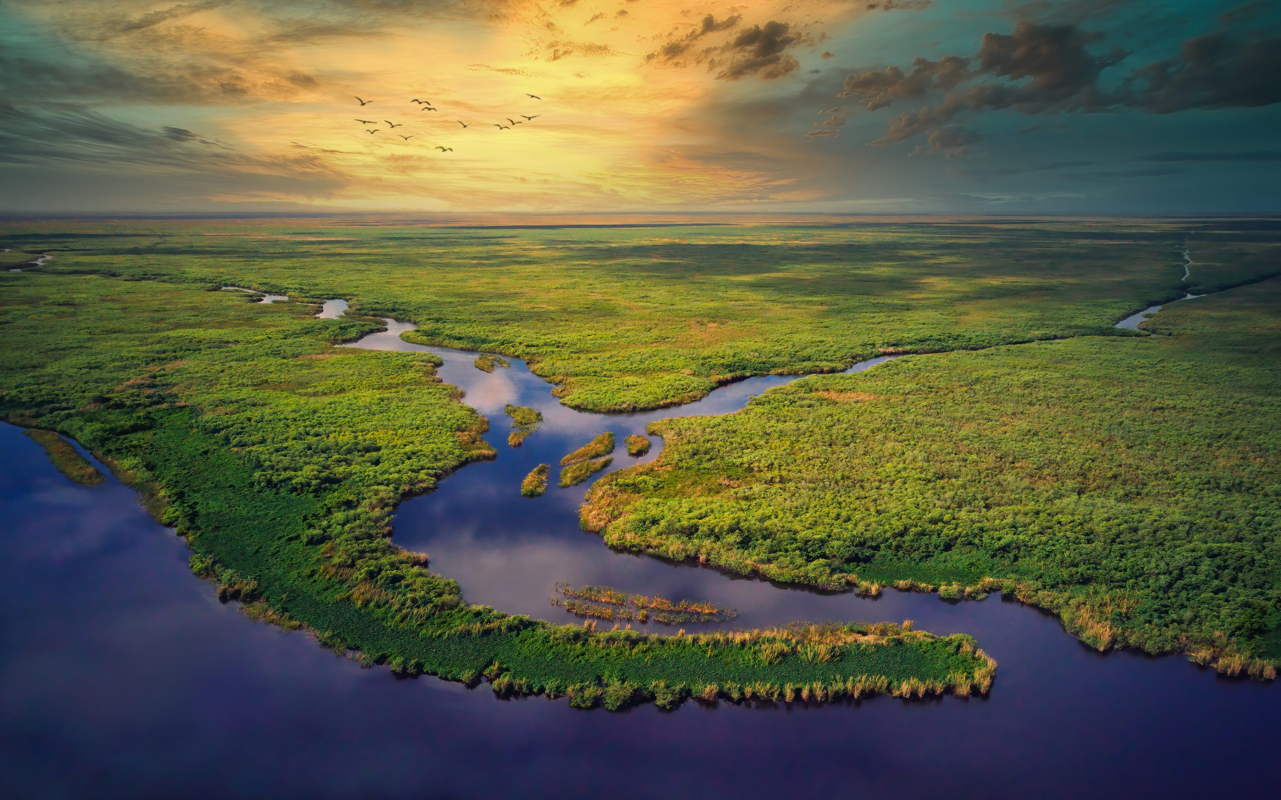 aerial of the everglades, airboat tour through the everglades