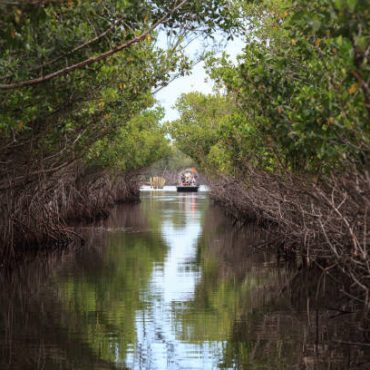 Florida Everglade Airboat Tours