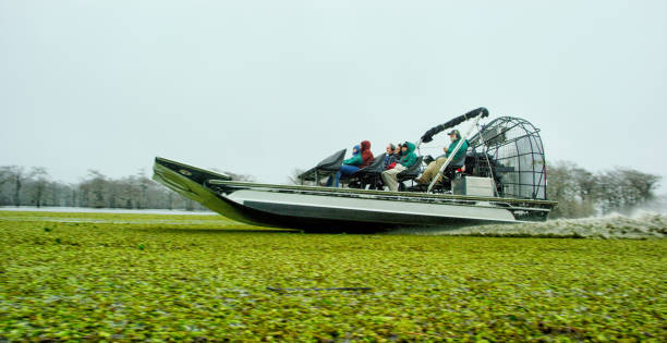 airboat tour