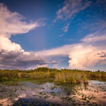 Florida Everglades Tour Fort Lauderdale