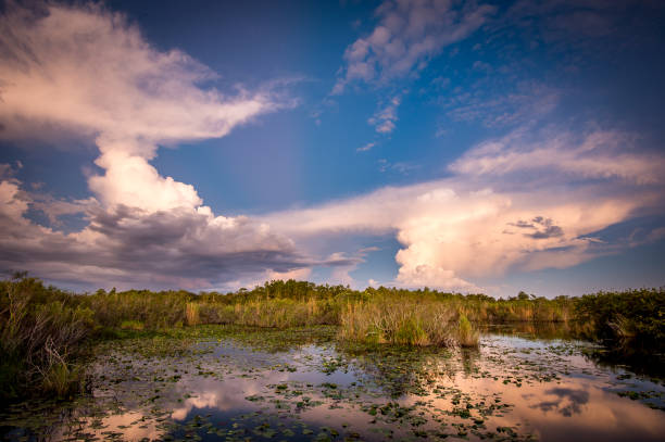 Florida Everglades Tour Fort Lauderdale