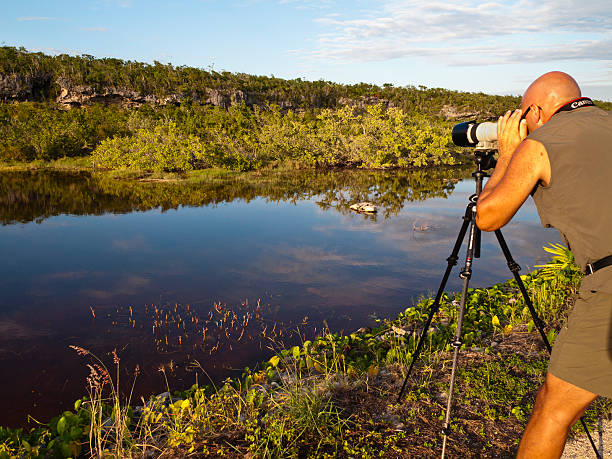 Florida Everglades Photography